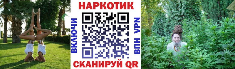 Где продают наркотики Курильск МДМА Альфа ПВП Мефедрон Каннабис ГАШИШ